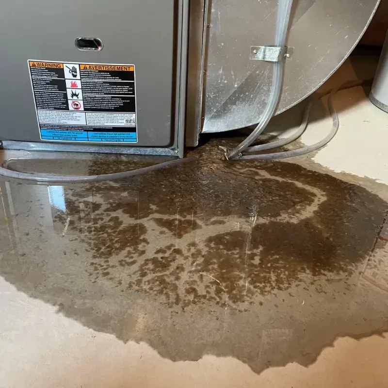 Appliance Leak Cleanup in Coral Hills, MD